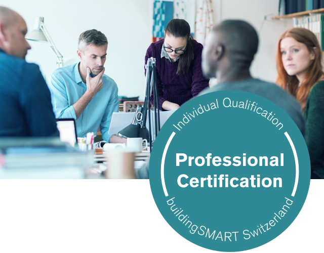 Professional Certification web2
